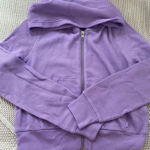 Aritzia TNA Lavender Hoodie